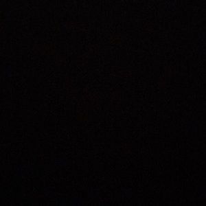 Meet your Posher, Annabelle